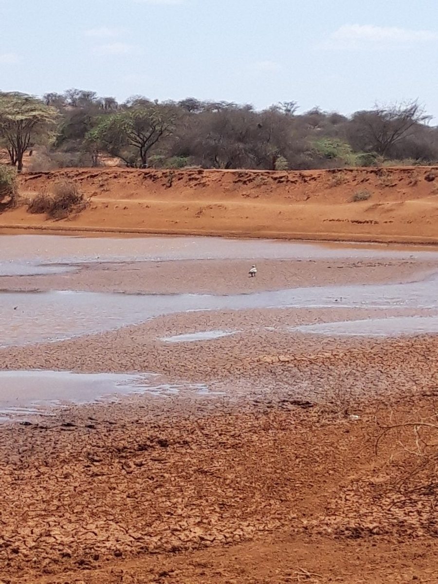 Drying water point in a dryland landscape representing climate risk, water governance and coordinated climate action.